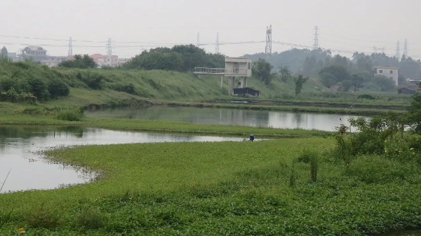 位于佛山南海区西樵镇百东行政村吉赞村的吉赞横基
来源：网络